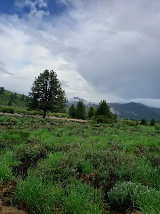 Canyon Campground Picture 6
