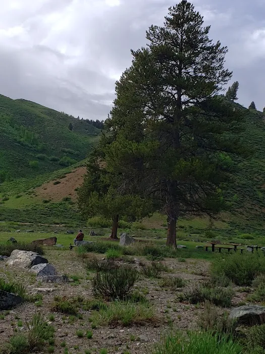 Canyon Campground Picture 4