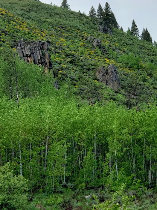 Canyon Campground Picture 5