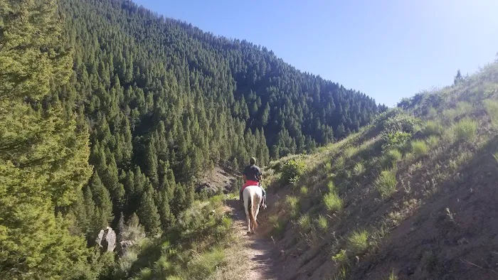 Canyon Transfer Camp Picture 2
