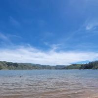 Pine Airport Campground ico