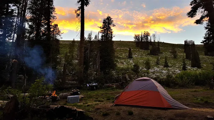 Cold Spring Campground Picture 3