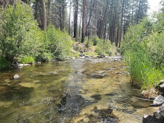 Ice Springs Campground Picture 6