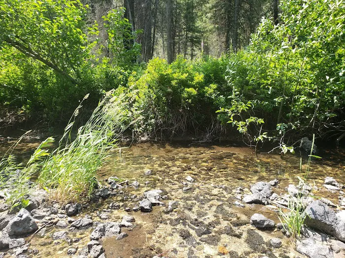 Ice Springs Campground Picture 9