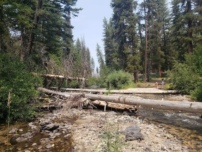 Ice Springs Campground Picture 8