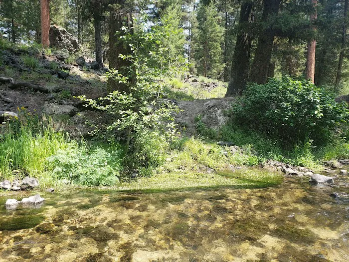 Ice Springs Campground Picture 7