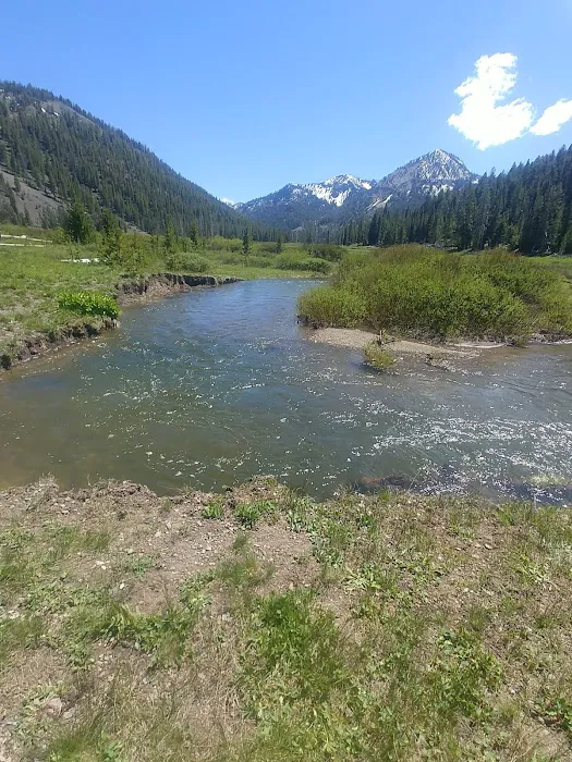 Chemeketan Campground Picture 4