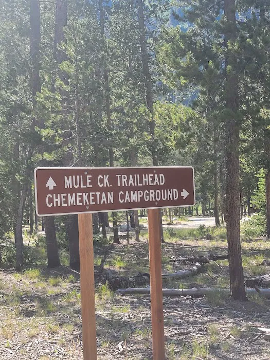 Chemeketan Campground Picture 9