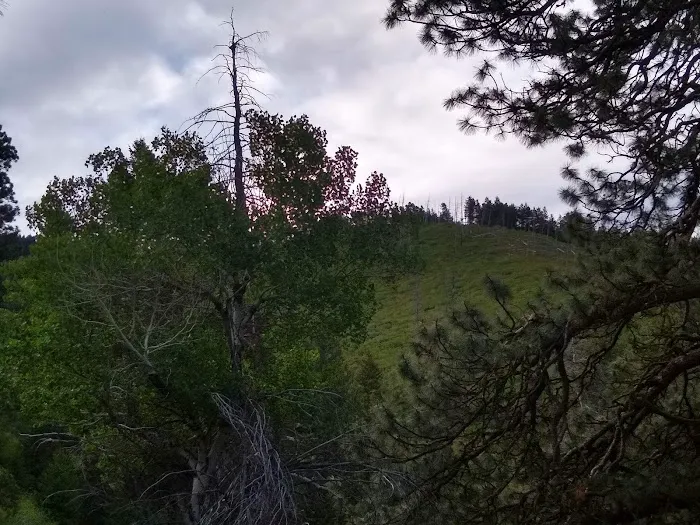 Lower Lava Mountain Trailhead Picture 2