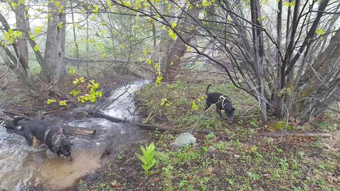 Lower Lava Mountain Trailhead Picture 1