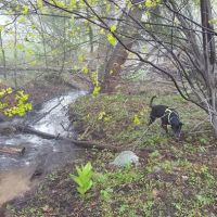 Lower Lava Mountain Trailhead ico