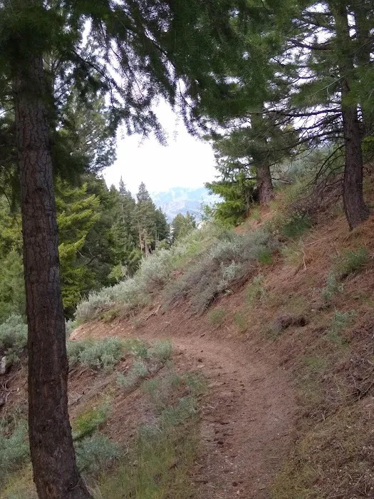 Lower Lava Mountain Trailhead Picture 7