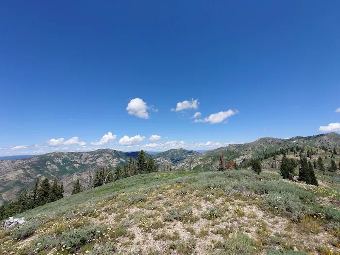 Lower Lava Mountain Trailhead Picture 10