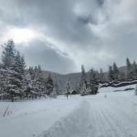 Central Idaho 4-H Camp ico