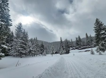 Central Idaho 4-H Camp