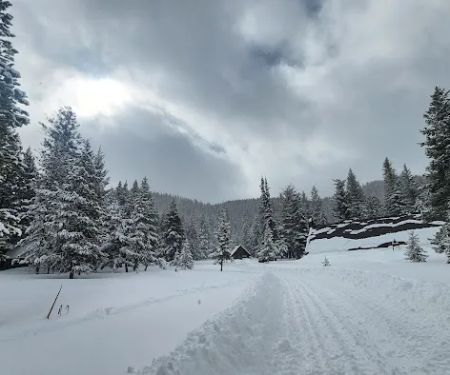 Central Idaho 4-H Camp