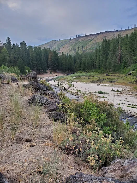 Evans Creek Campground Picture 7