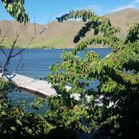 Goose Neck Bay ico