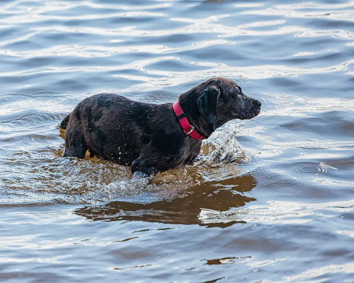 Lake Jacksonville Park Picture 8