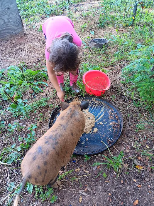 Trails End Hobby Farm and Handy Man Service Picture 3