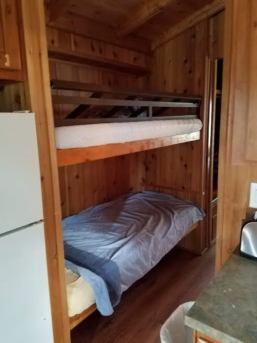 Yogi Bear's Jellystone Park Camp-Resort: Tyler, TX Picture 2