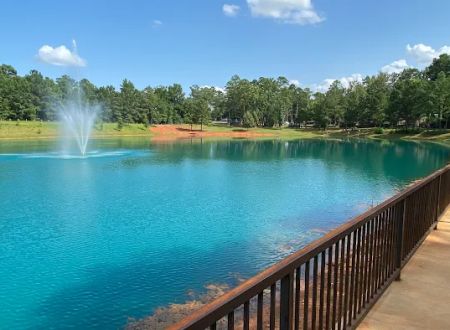 Yogi Bear's Jellystone Park Camp-Resort: Tyler, TX