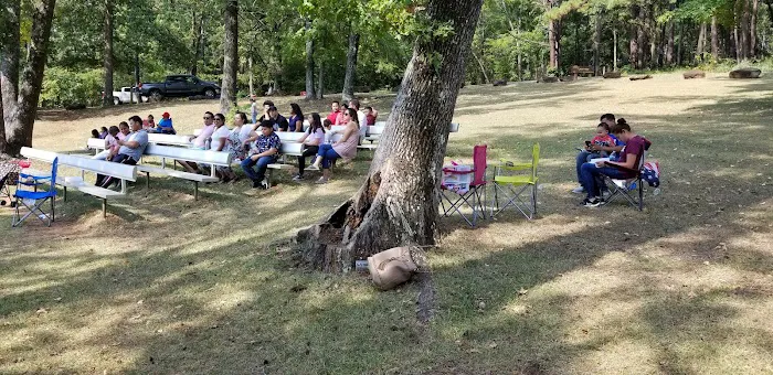 Tyler State Park Cedar Point Campgrounds Picture 4