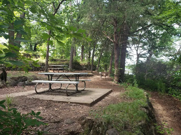 Tyler State Park Big Pine Campgrounds Picture 3