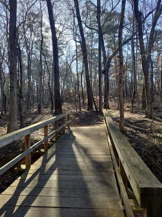 Tyler State Park Big Pine Campgrounds Picture 7