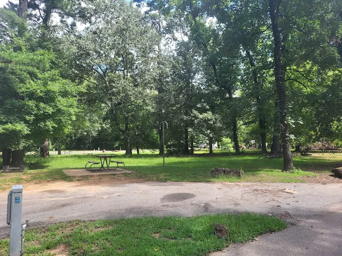 Tyler State Park Big Pine Campgrounds Picture 4