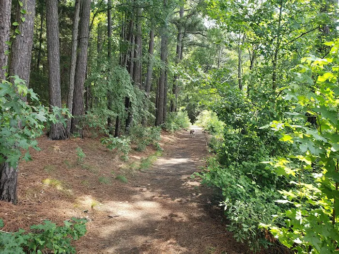 Tyler State Park Big Pine Campgrounds Picture 5