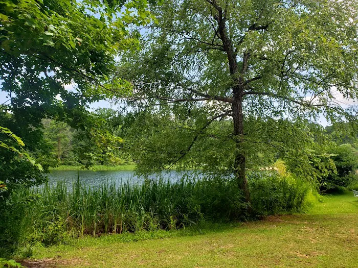 Tyler State Park Big Pine Campgrounds Picture 9
