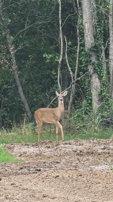 Riverside Camping Houston Picture 6