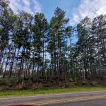 SAM HOUSTON (Houston/Conroe/Huntsville Area)