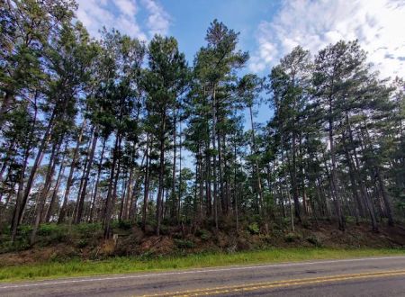 SAM HOUSTON (Houston/Conroe/Huntsville Area)