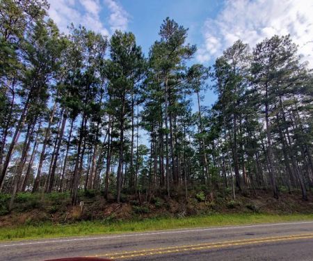 SAM HOUSTON (Houston/Conroe/Huntsville Area)
