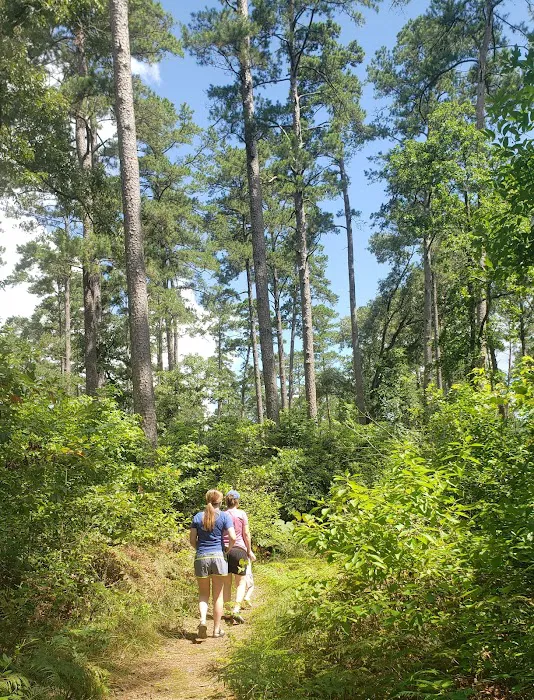 SAM HOUSTON (Houston/Conroe/Huntsville Area) Picture 4