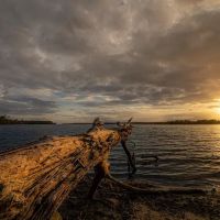 Cagle Recreation Area ico