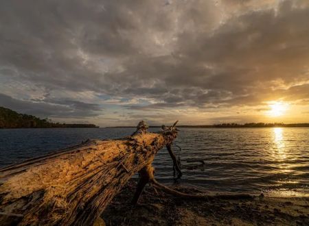 Cagle Recreation Area