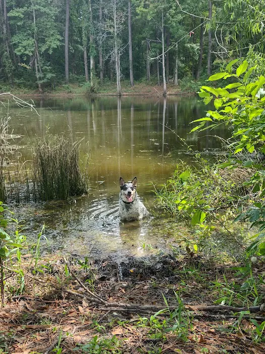 Kelly's Pond Motorized Campground Picture 4