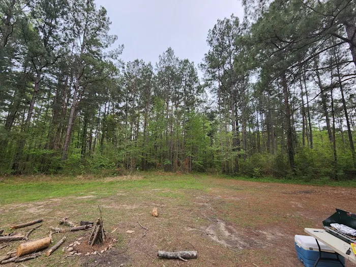 Kelly's Pond Motorized Campground Picture 3