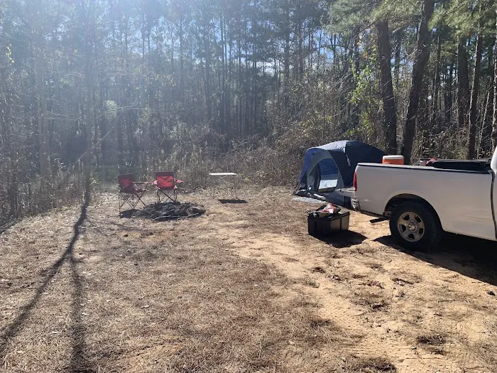 Kelly's Pond Motorized Campground Picture 6