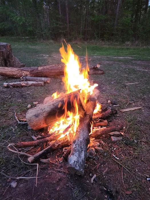 Kelly's Pond Motorized Campground Picture 10