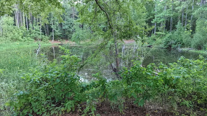 Kelly's Pond Motorized Campground Picture 8