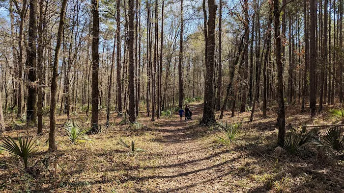 Stubblefield Lake Recreation Area Picture 6