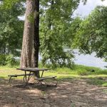 S13 Campsite with Shelter