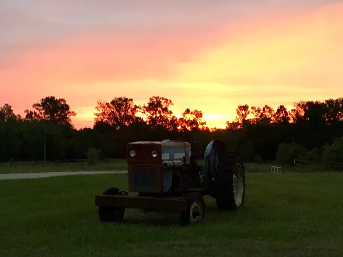 My Favorite Campground BY RESERVATION ONLY Picture 6