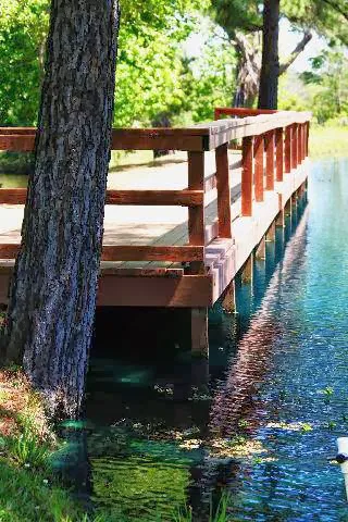 My Favorite Campground BY RESERVATION ONLY Picture 2