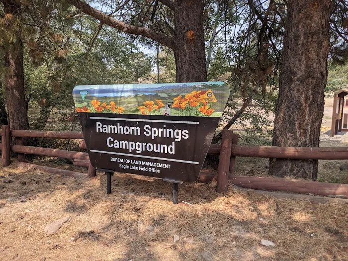 Ramhorn Springs Campground Picture 5