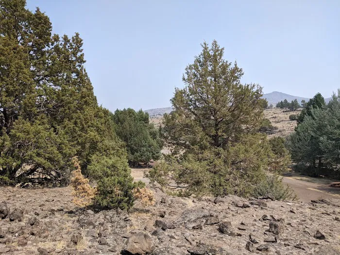 Ramhorn Springs Campground Picture 4